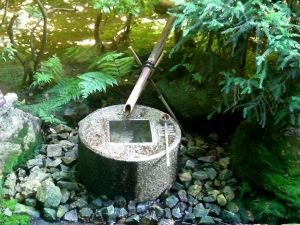 dettaglio giardino jap